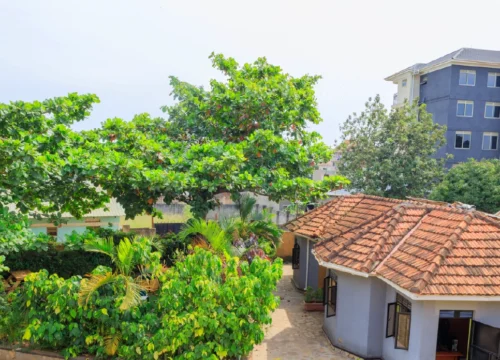How Ugandan Hotels Are Redefining Hospitality